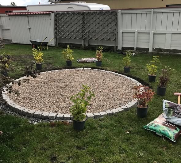 Anläggning av syrénberså