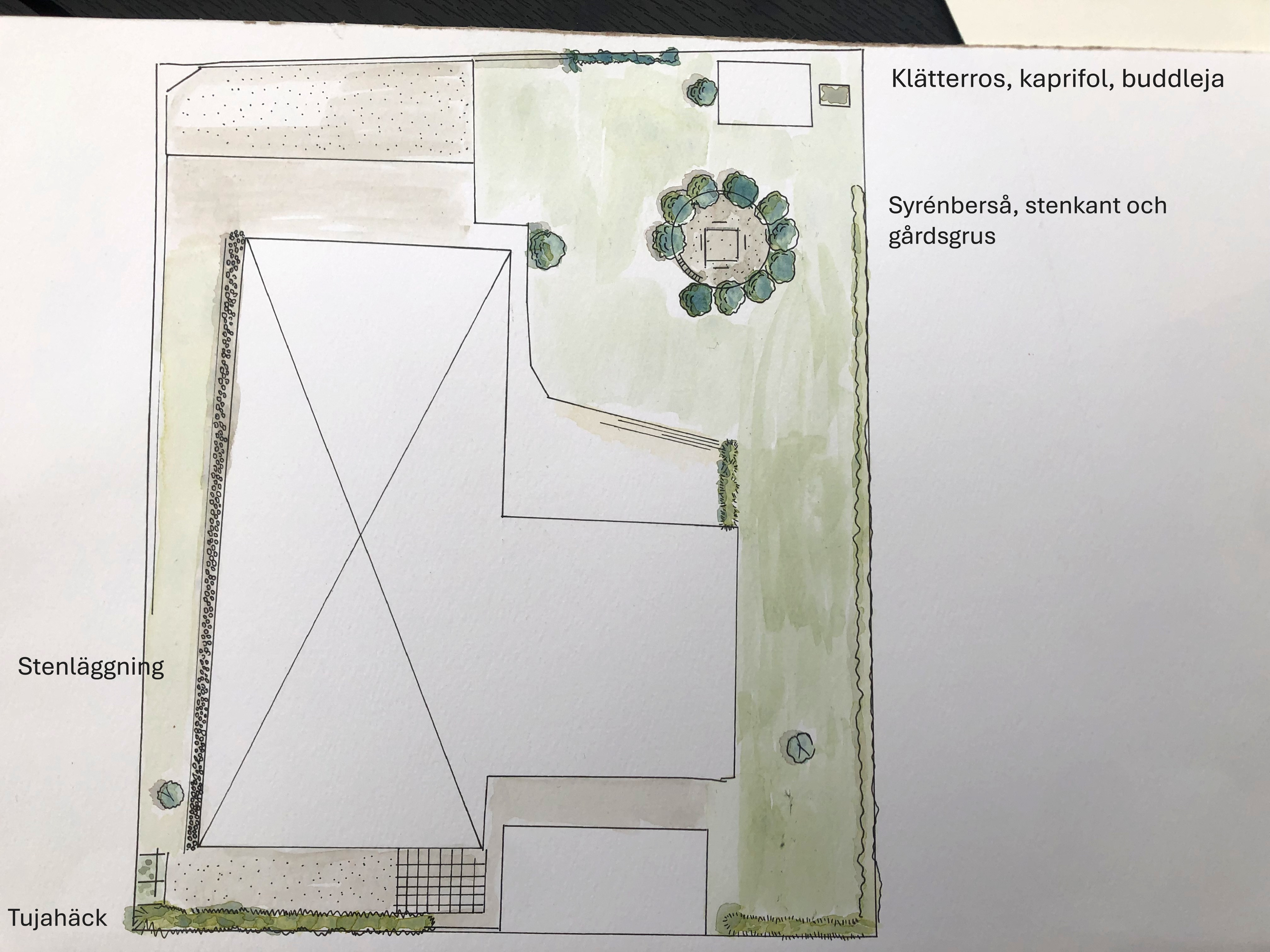 Anläggning av syrénberså